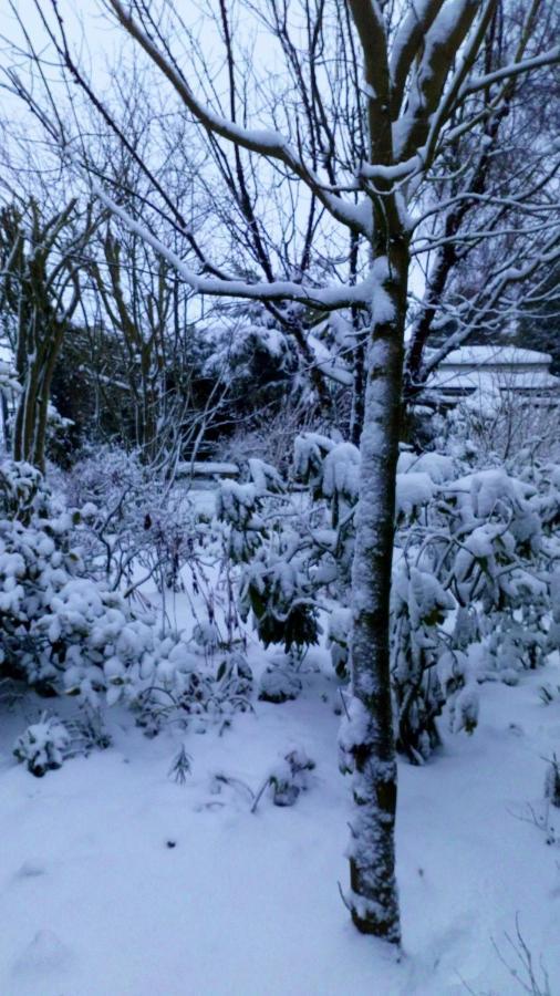 Mountain Ash Bed and Breakfast Horncastle  Εξωτερικό φωτογραφία